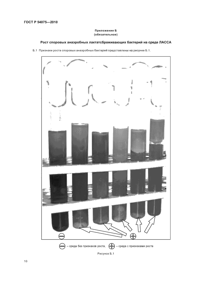 ГОСТ Р 54075-2010