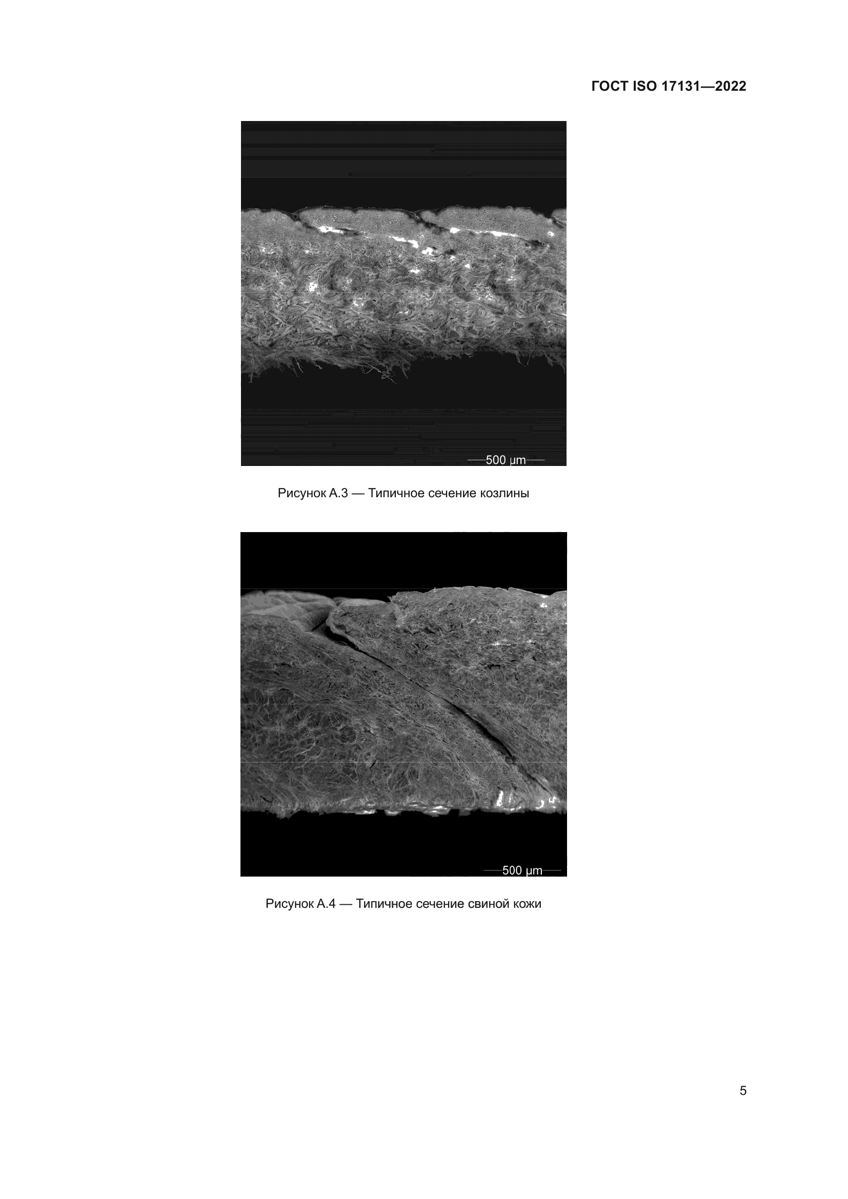 ГОСТ ISO 17131-2022