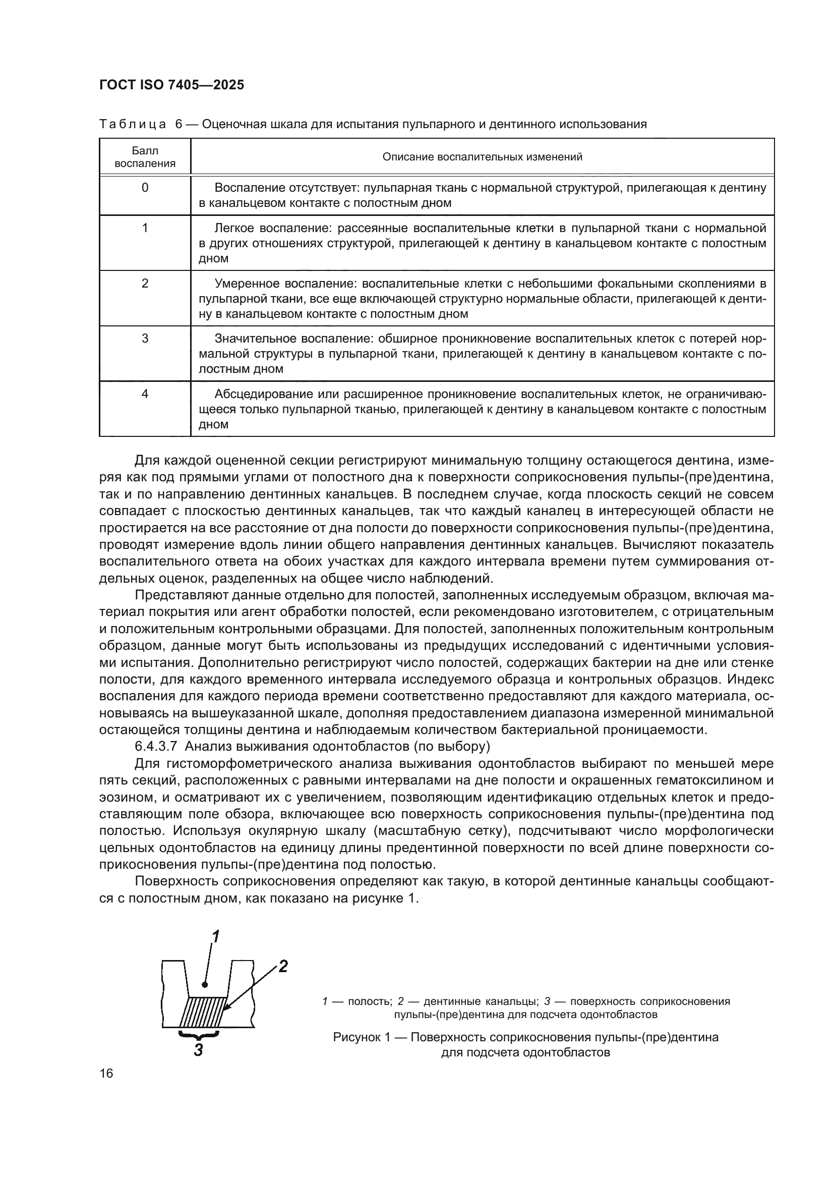 ГОСТ ISO 7405-2025