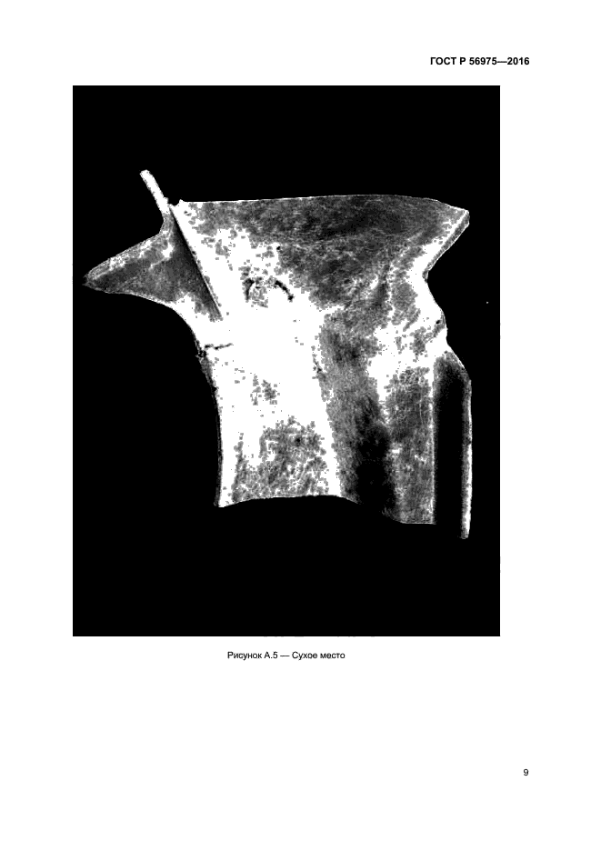 ГОСТ Р 56975-2016