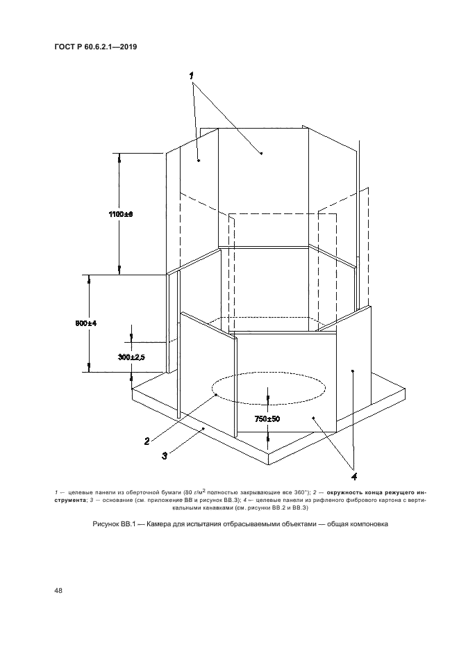 ГОСТ Р 60.6.2.1-2019