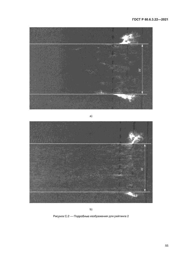 ГОСТ Р 60.6.3.22-2021
