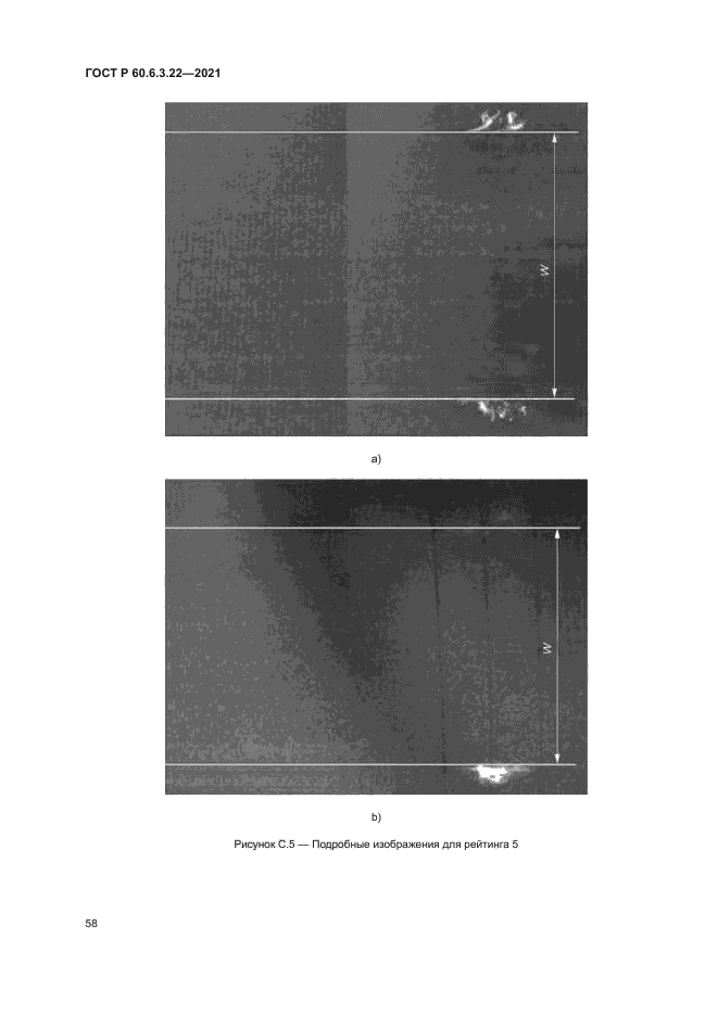 ГОСТ Р 60.6.3.22-2021