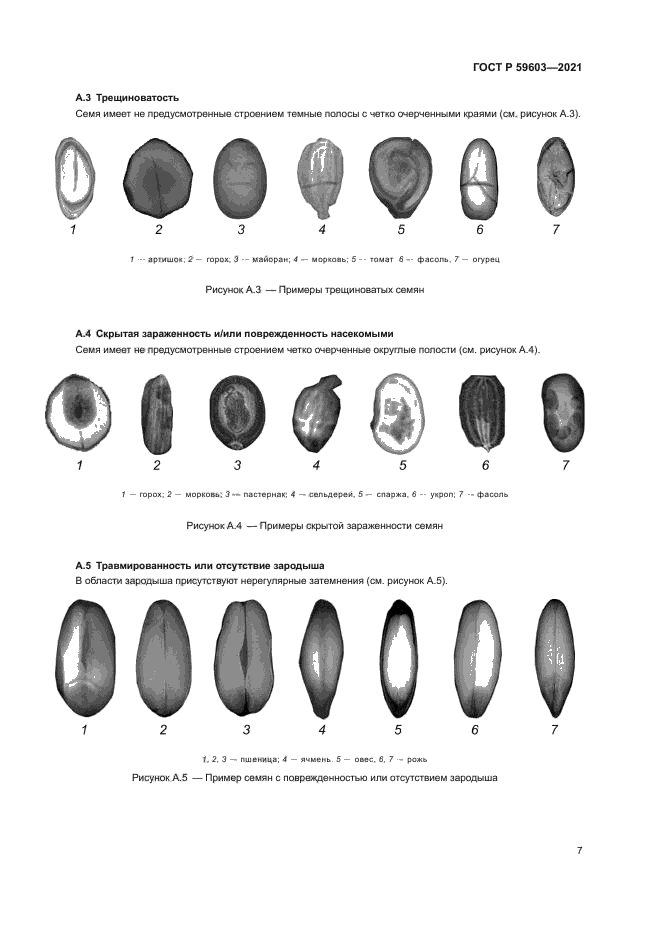 ГОСТ Р 59603-2021