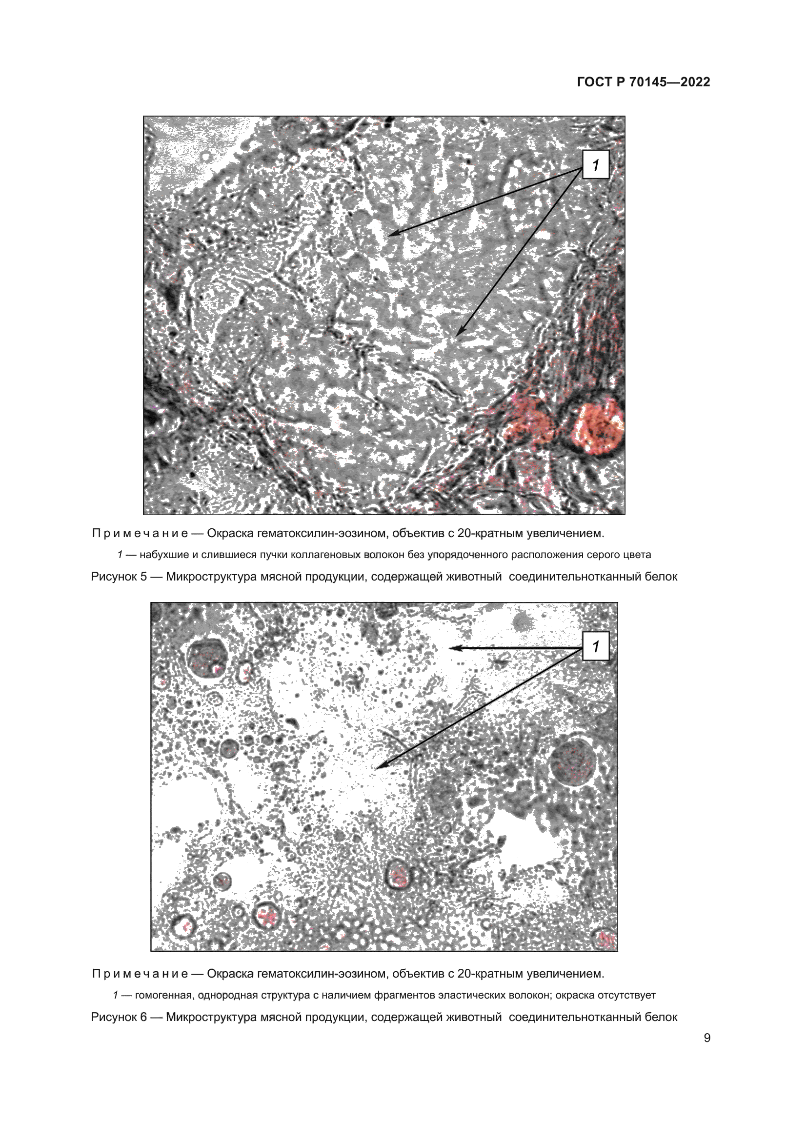 ГОСТ Р 70145-2022