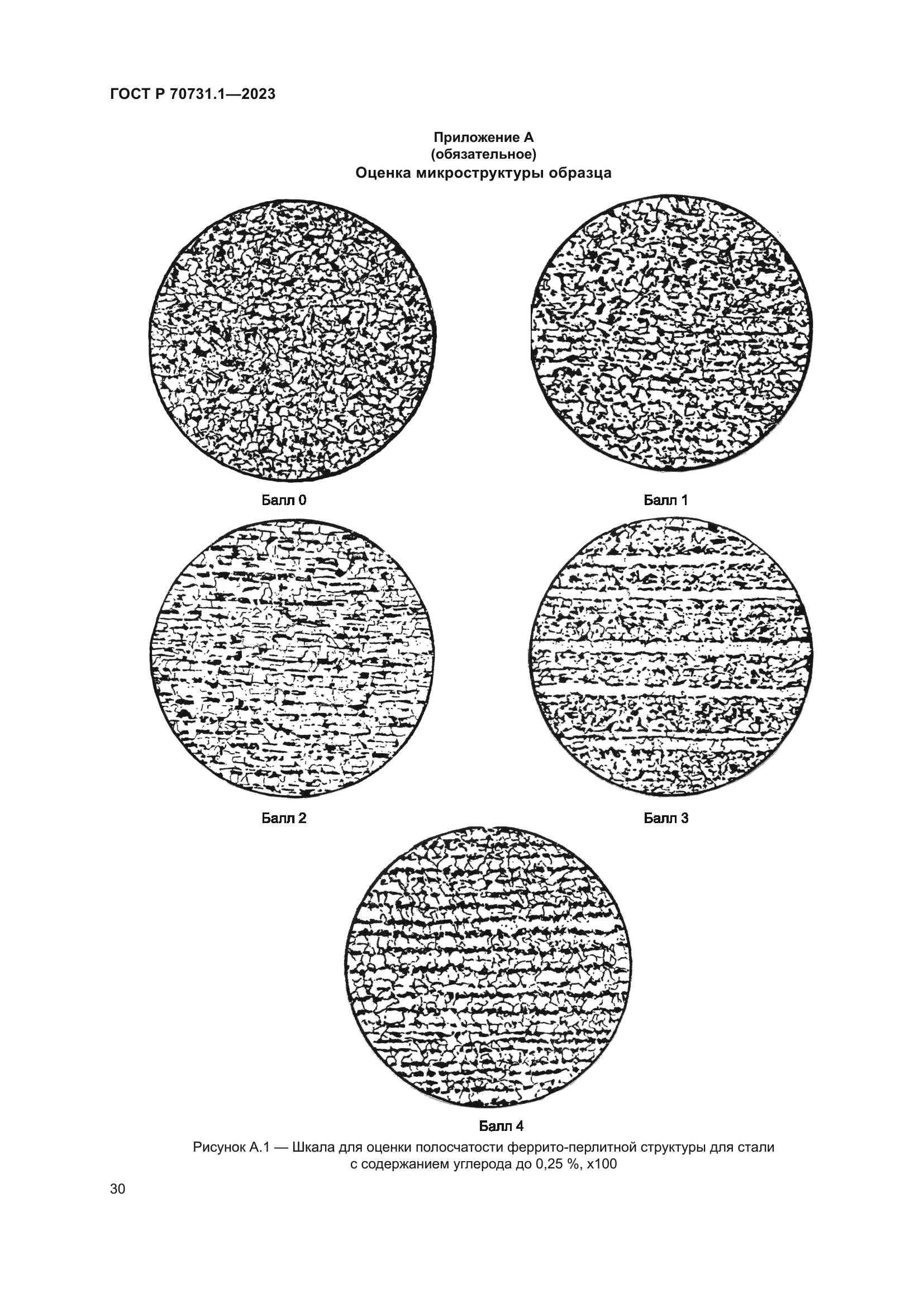 ГОСТ Р 70731.1-2023