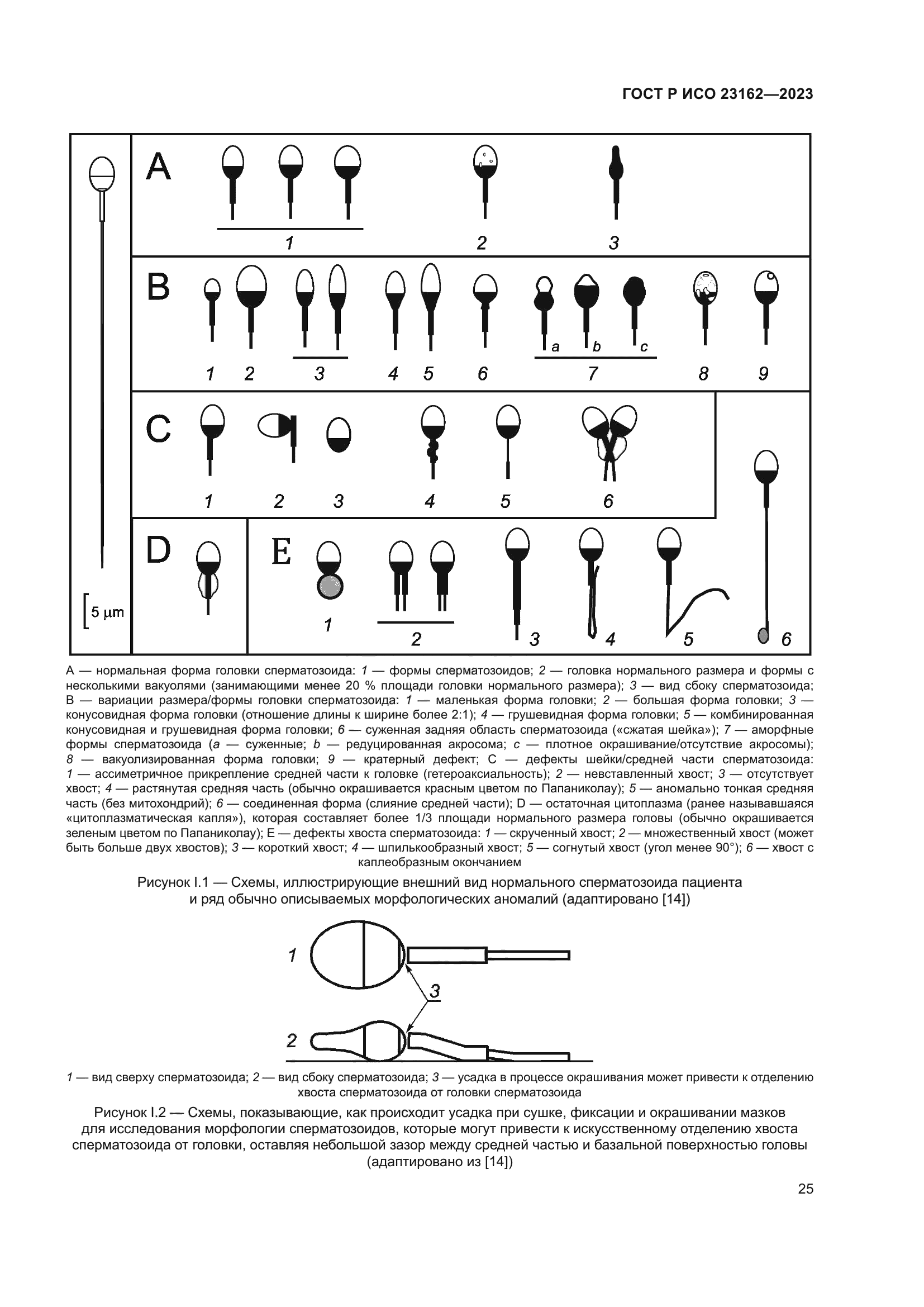 ГОСТ Р ИСО 23162-2023