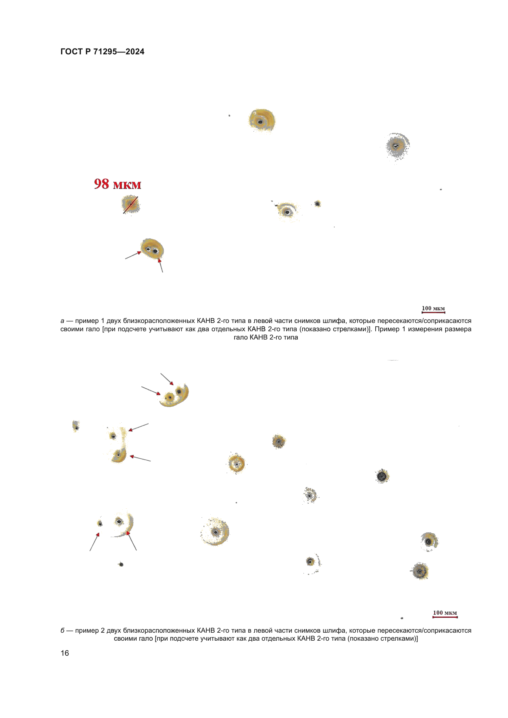 ГОСТ Р 71295-2024