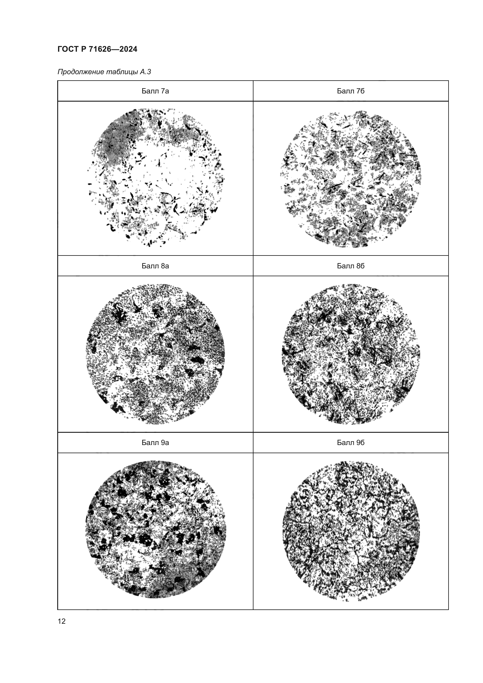 ГОСТ Р 71626-2024