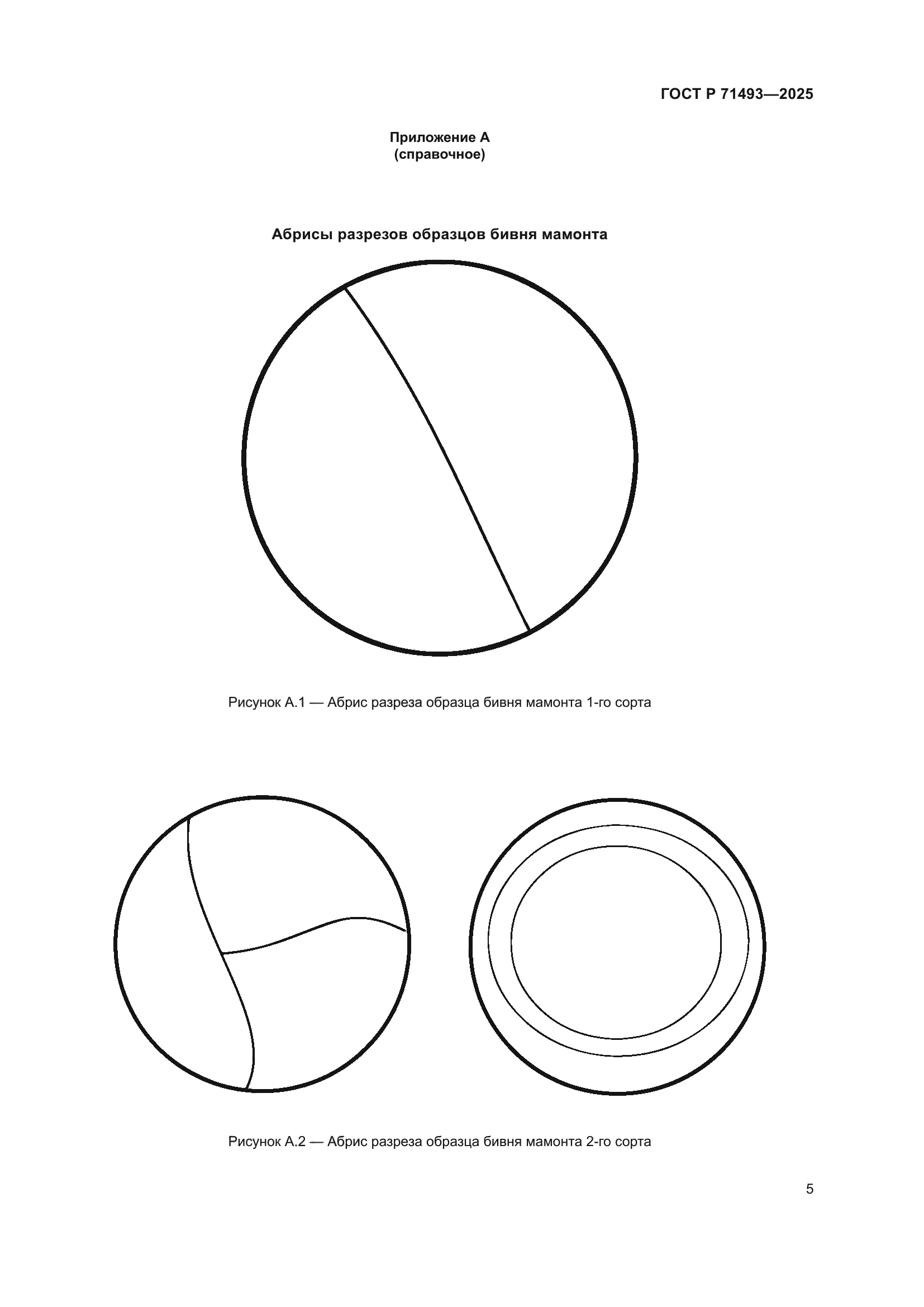 ГОСТ Р 71493-2025