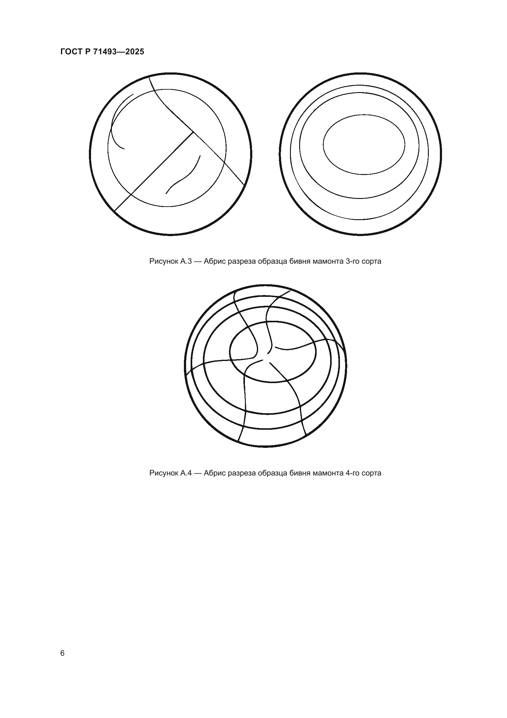 ГОСТ Р 71493-2025
